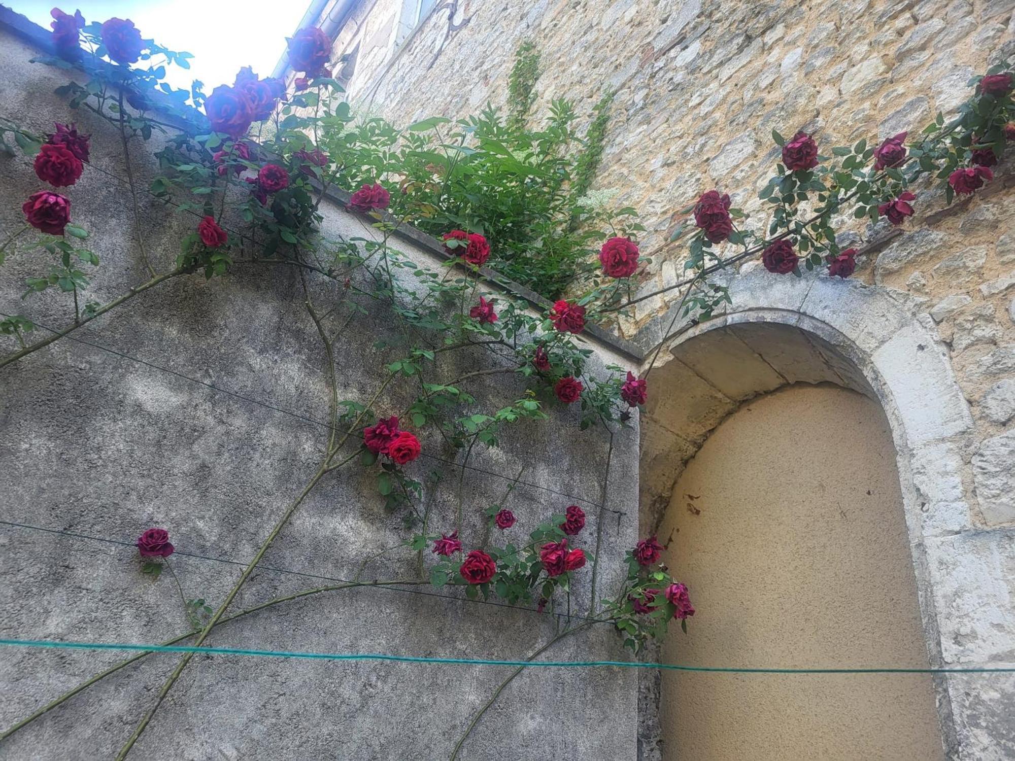 Apartment Au Puits De L'abbaye